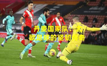  丹麦国家队：北欧足球的坚韧传奇